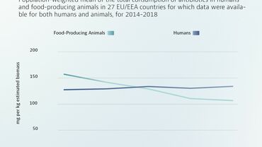 Infographic: Consumption of antibiotics in humans and food-producing animals. EU/EEA 2014-2018